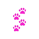 Cat0