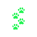 Ca6