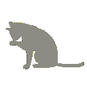 98885graykitten