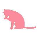63442pinkkitten