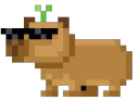 Capybara