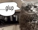 Gulp Gulp