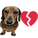 1DogIdiot