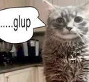 glup glup