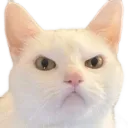weirdChamp