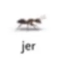 Jer