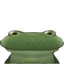 frog_whatthefac