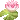 034lilly_cc