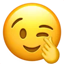 HeartWink HeartWink