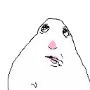 hamster_think_asyl
