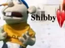 shibby