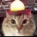 emoji_21