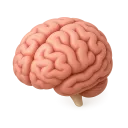 MHSC_Brain