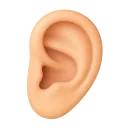 MHSC_Ear