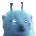DKGlorp
