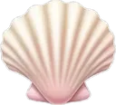 seashell
