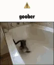 Goober