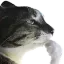 mightbe