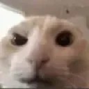 hmmm hmmm