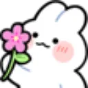 bunnyflower
