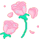 3160pinkroses