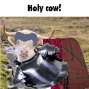 holycow