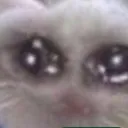 cry