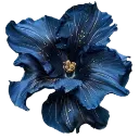 4Romance_flower