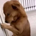 uhhhhh
