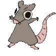 rat