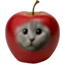 appurrrcat