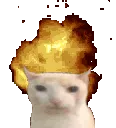 boomcat