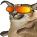 coolfloppa