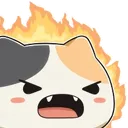 angrycat