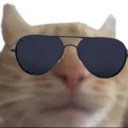 shades