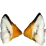 foxears