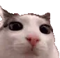 plink