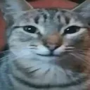 emoji_2