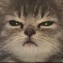 Mori_catmad