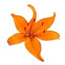 emoji_140