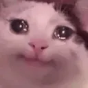 CatImFine