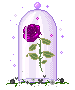 glassdomerose animated emote from Mossy Magic ✨
