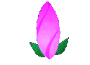 magentabloomingflower animated GIF emoji | Mossy Magic ✨