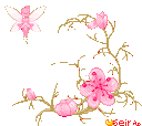 fairy animated Discord emote - Mossy Magic ✨
