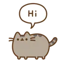 00_pusheenhi