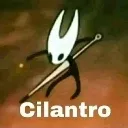 cilantro cilantro