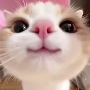 cute