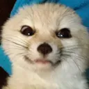 skrunkyfocus