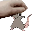 rat_pet