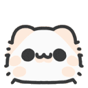 cat_shocked